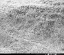 Slope Erosion on Route 14