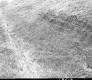 Slope Erosion on Route 14