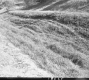 Slope Erosion on Route 14