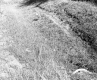 Slope Erosion on Route 14
