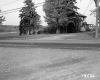 Branch House