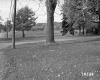Branch House and Lawn