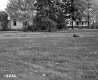 Branch House and Lawn