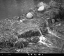 Hay Dam on the Goshen Stream