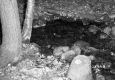 A Close-up of a Small Brook