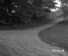 A Fork in the Dirt Road