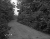 Winding Road to the Right in a Forest Landscape