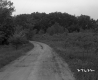 Dirt Road Turns to the Right through Meadow
