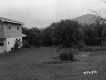 Side Yard of Split-Level Home