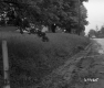 Side of Paved Road with Overgrown Yard