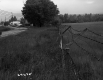Chain Link Fence Separating Busy Street with Field