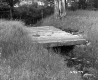 Small Concrete Bridge over Small Brook