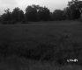 Grassy Meadow with Chain Link Fence