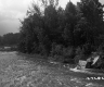 Rushing River with Deciduous Forest