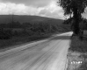 Empty Rural Street