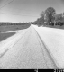 Rural Road with Dwellings and Pastures