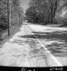 Rural Road with Utility Lines