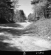 Rural Road with Hilly Landscape