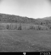 Southeasterly view of Jewett Brook Marsh