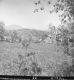 View of Mount Equinox from the Fayville Branch