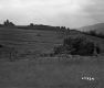 Grassy Pastures Separated from Hill by Fence
