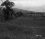 Grassy Field with Power lines Running Through 