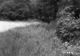 Gravel Lot with Grass Patch