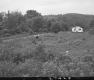 House in Field
