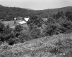 Grassy Hill by Farm