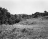 Grassy Hill