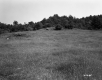 Grassy Hill