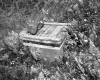 Box with Stone