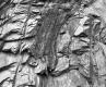 Close-Up of Rock