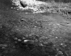 Blodgett Pond at Inlet