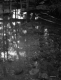Blodgett Pond