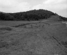 Field by I-91