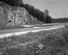 Grass by Highway