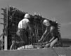 Bridge Construction
