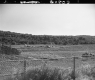 Fence by Rest Area Construction
