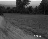 Field by Road