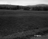 Grass Field