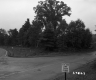 Fork in Paved Road