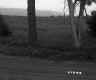 Dirt Road by Field