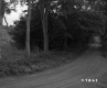 Dirt Road through Trees