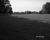 Grass Field