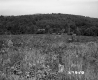 Field and Mountain