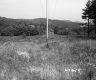 Electrical Wires in Field