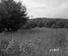 Grass Field