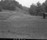 Fenced-In Field