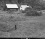 Houses by Field